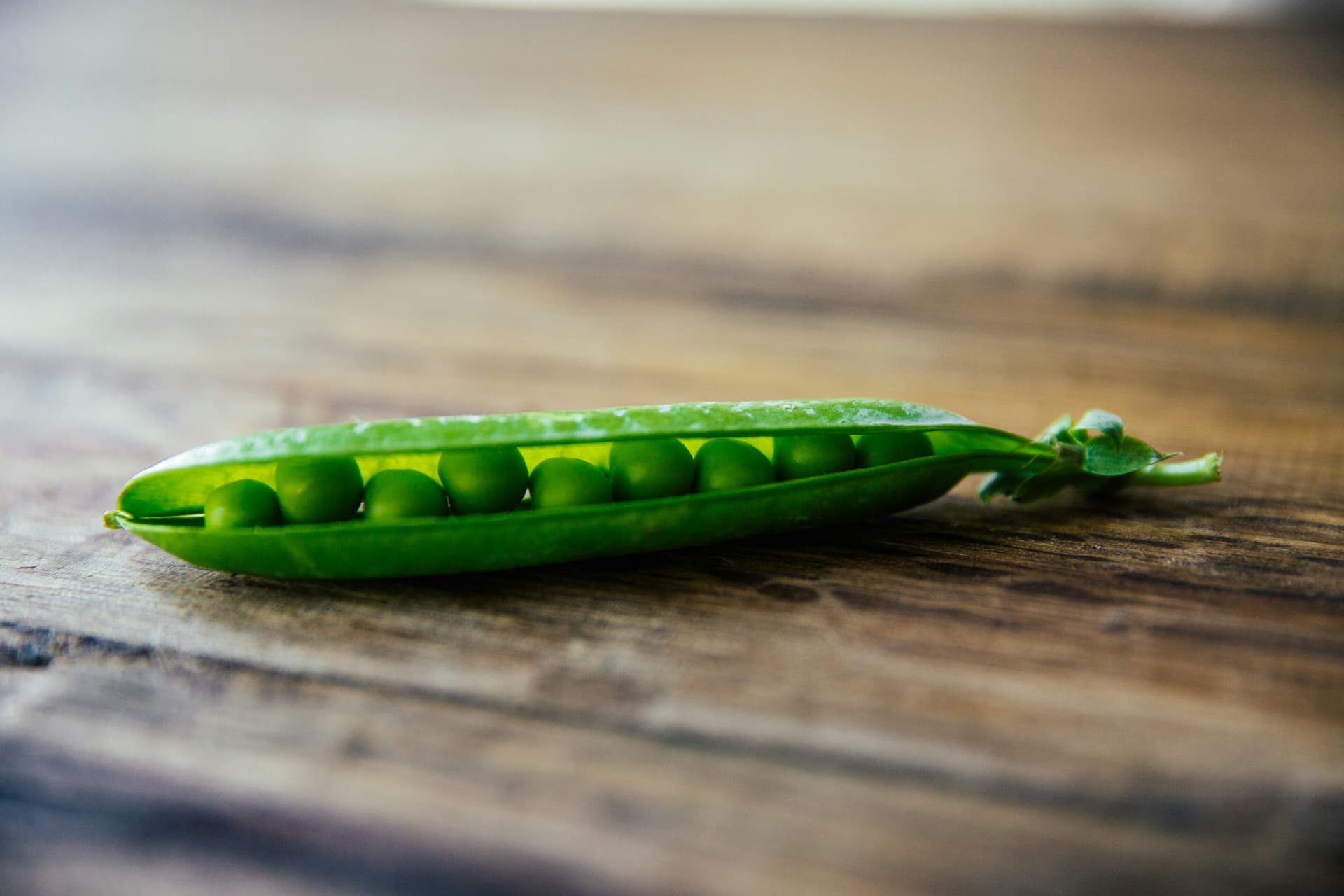 Photo by Rachael Gorjestani on Unsplash